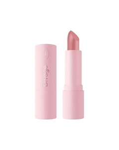 Помада для губ Lipstick Praline New Divage