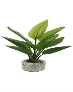 Растение искусственное в кашпо Стрелиция 50х30х20см резина пластик цемент Нет марки
