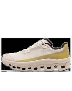 Кроссовки Cloudmonster Void 'Grey Beige' On running