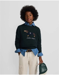 Детский свитер с собакой, зеленый Silbon