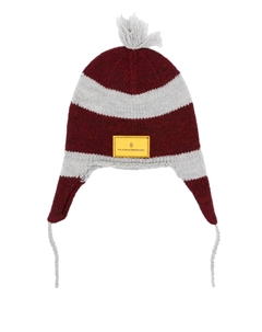 Шапка бини в полоску, серый The animals observatory