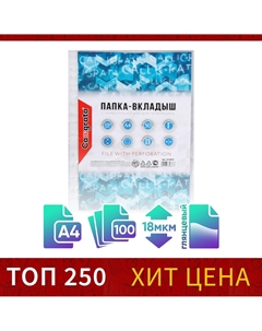 Файл - вкладыш, а4, глянцевый, вертикальный, 100 штук, эконом Calligrata