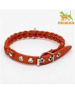 Ошейник, 1.2×36 см, ош 20-30 см, плетеный, кожа, оранжевый Пижон