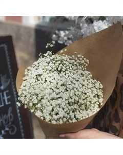 Гипсофила в крафте Шарландия гринландия