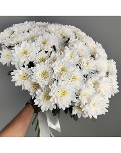 Букет из 11 кустовых хризантем Шарландия гринландия