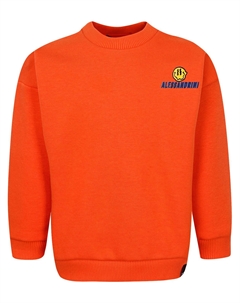 Свитшот Daniele alessandrini