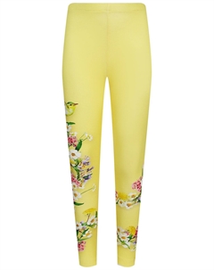 Леггинсы Molo