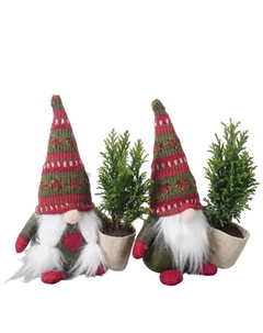 Кипарисовик Элвуда ø6 h35 см Без бренда