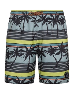 Пляжные шорты Badeshorts Prtmaurits Jr., цвет huntergreen Protest