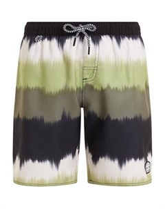 Плавательные шорты prtcity jr beach shorts, зеленый Protest