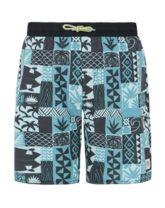 Плавки шорты prtcody jr, цвет arcticgreen Protest