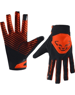 Перчатки Radical 2 softshell, мультиколор Dynafit