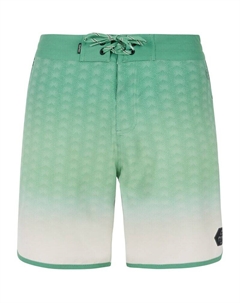 Шорты для плавания prtchad, зеленый Protest