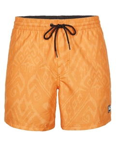 Плавки-Шорты с принтом калифорнийского принта 15 дюймов, цвет nugget magic carpet O`neill
