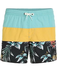 Плавки-Шорты для плавания Mix & Match Cali Block 15 дюймов, цвет golden haze O`neill