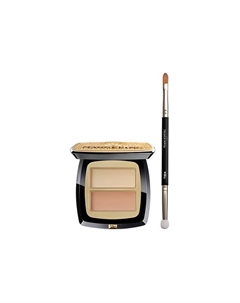 Двухцветный набор для макияжа Zhenyan для маскировки 4г+кисть Maogeping