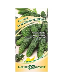 Семена овощей огурец Зеленый экспресс 10 шт Гавриш