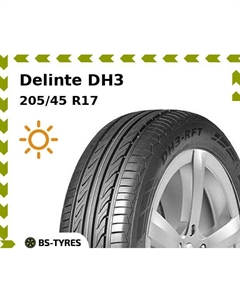Летние шины Delinte DH3 RunFlat 205/45 R17 84V