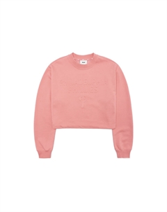 Базовый логотип свитшот Women's Pink Mlb