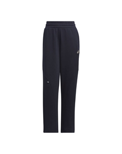 Повседневные брюки FW24 Legend Ink/Metallic Silver Adidas