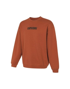 Свитшот мужской красно-коричневый Converse