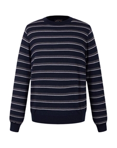 Толстовка для яхтинга мужская navy blue в полоску Paul & shark