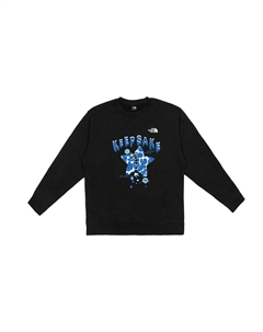 Свитшот мужской, черный The north face