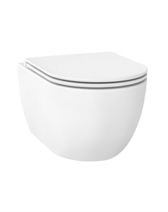 Унитаз Chalice Perfection 182608001 подвесной цвет Белый матовый с сиденьем Микролифт Wellsee
