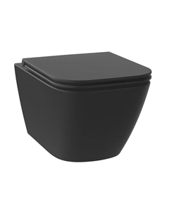 Унитаз Pure BY 182604001 подвесной цвет Черный матовый с сиденьем Микролифт Wellsee