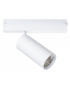 Светильник на штанге Teta 205036 Lightstar