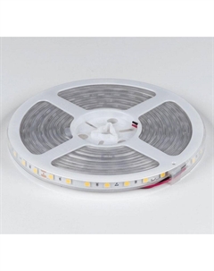 Светодиодная лента DSG560 00-00002378 Designled