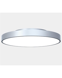 Накладной светильник NX 00-00006294 Lumker