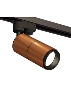 Светильник на штанге XT XT6304001 Ambrella light