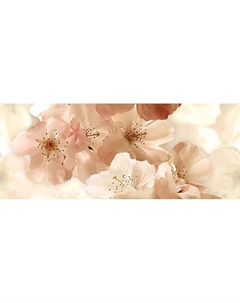 Плитка Dec Manzano Panno A 20х50 20х50 Ceradim