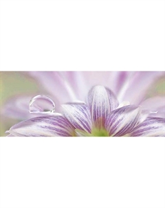 Плитка Dec Lola 1 Декор 20х50 20х50 Ceradim