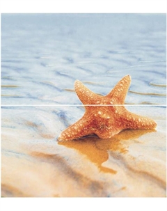 Плитка Dec Starfish 1 Panno (панно из 2-х шт) КПН16Starfish1 50х45 50х45 Ceradim
