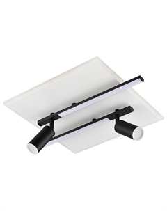 Накладной светильник STELLS 8256/40CL Lumion