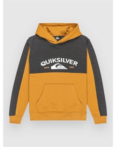 Толстовка Knowledge Area Kids Hoodie, almond Quiksilver