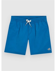 Пляжные шорты Vert 14″ Kids Boardshorts, mary poppins O`neill