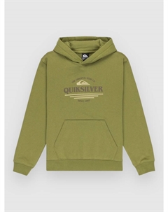 Толстовка Graphic Kids Hoodie, loden green Quiksilver