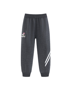 Детские вязаные спортивные штаны, серый Disney