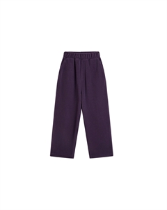 Школьные брюки, фиолетовый Dickies