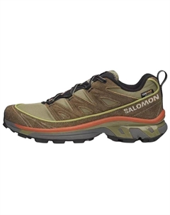 Кроссовки для бега XT 6 Unisex Green Brown Salomon