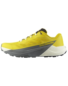 Мужские кроссовки Pulsar Running желтые Salomon