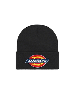Dickies шапка-бини, черный Supreme