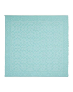 Хлопковый вязаный шарф женский голубой Coach