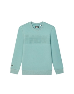 Свитшот мужской Aquaman Green Fila