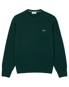 Вышитый свитер с круглым вырезом, Yzp Lacoste