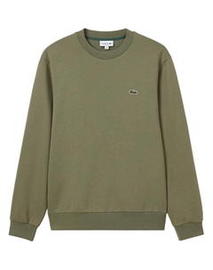 Хлопковый свитшот, хаки Lacoste