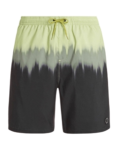 Плавки шорты M PRTCAGNES BEACHSHORT Protest